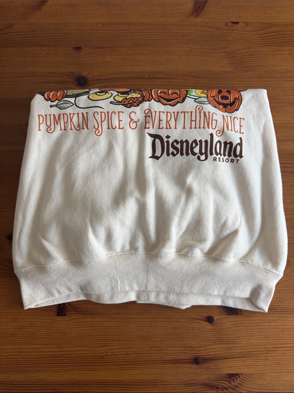 Disney Disneyland Resort Pumpkin Spice & Everything Nice Crewneck Sweatshirt - Picture 8 of 8
